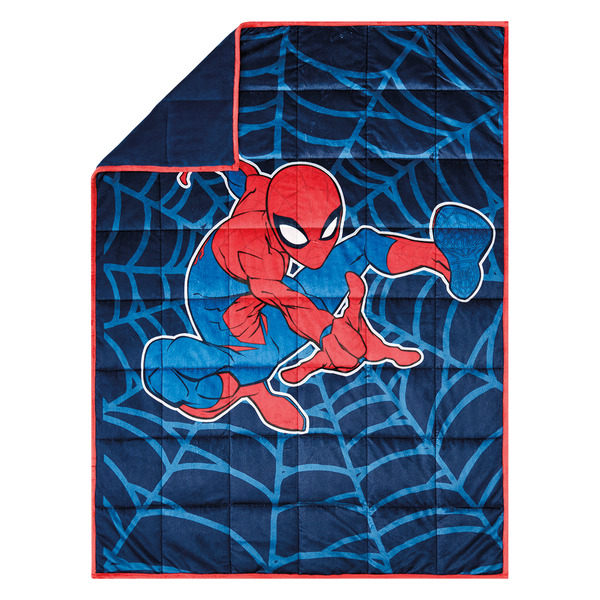 ALDI Spidreman Weighted Blanket SameDay Delivery or Pickup Instacart