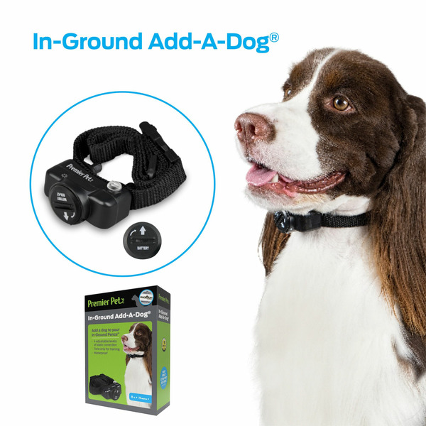 Premier Pet In-Ground Add-A-Dog