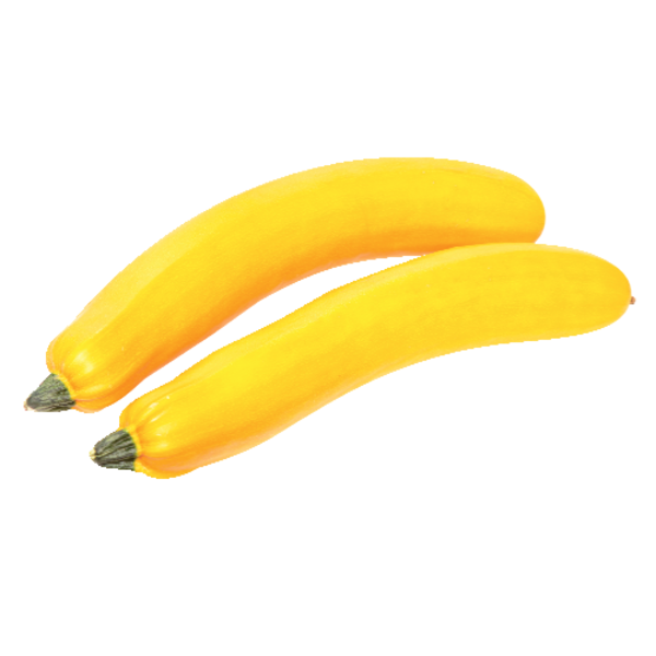 Summer Squash