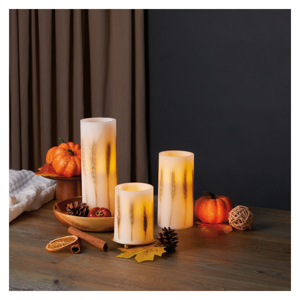 Kirkton House 3pc Fall LED Candle Set, Wheat Stalks Same-Day