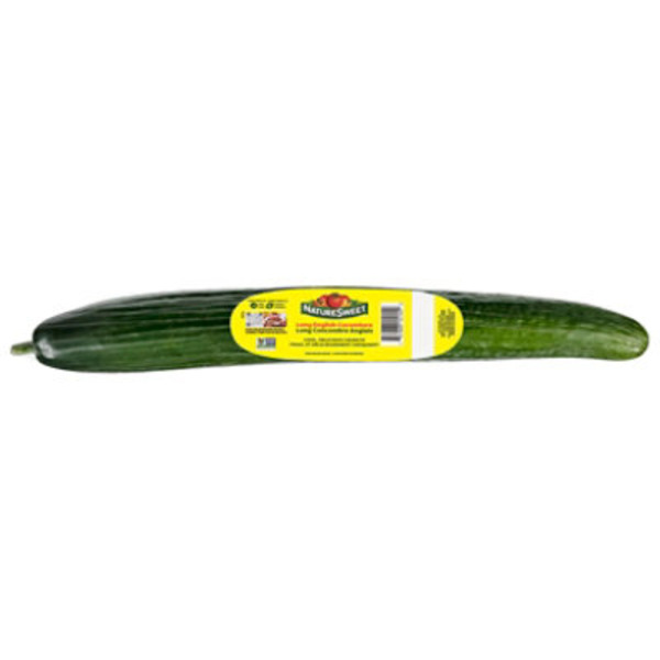 English Seedless Cucumber