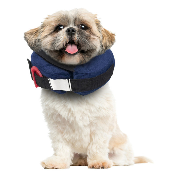 Calm Paws Basic Inflatable Recovery Dog Collar, Small