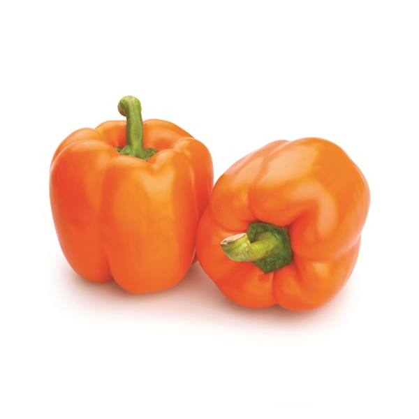 Orange Bell Pepper