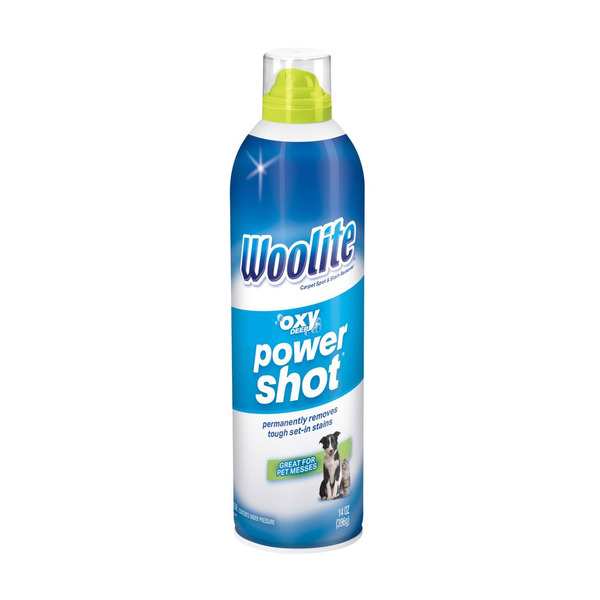 Woolite Carpet Spot & Stain Remover