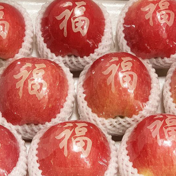 Fuji Apple