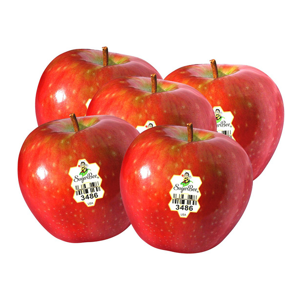 SugarBee Apple Gift Box