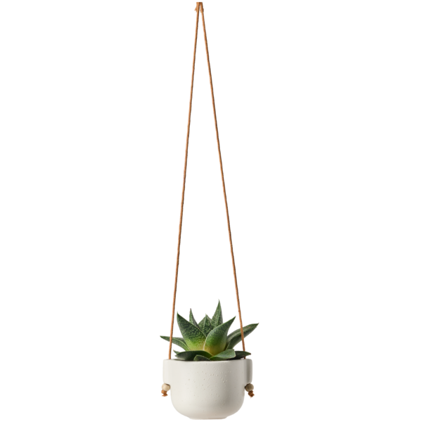Live Trends Glio Ceramic Hanging Pot, Assorted Succulents