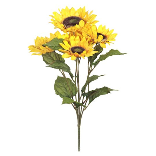 Ashland Sunflower Bush