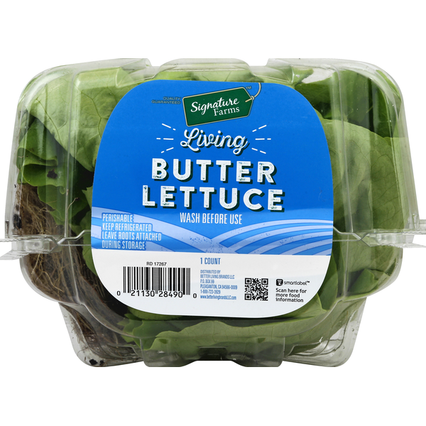 SIGNATURE SELECTS Butter Lettuce, Living