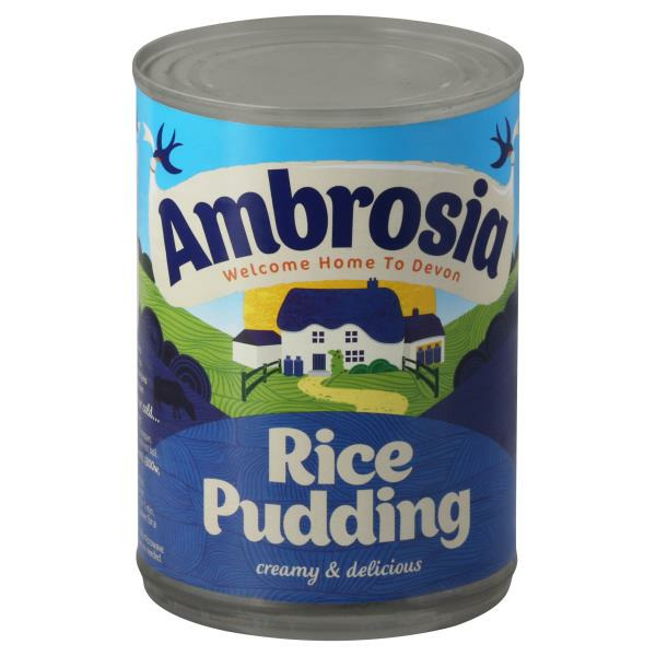 Publix Ambrosia Devon Rice Pudding Same-Day Delivery or Pickup | Instacart