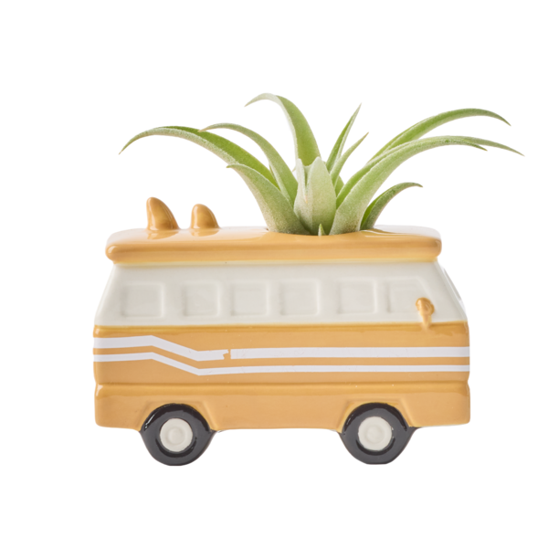 Live Trends Caravan Ceramic Air Plant Figurine