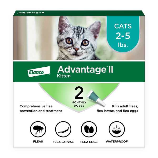 Advantage Flea Treatment & Prevention | Kittens 2-5lbs