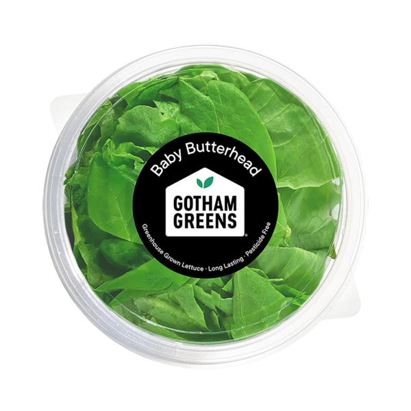 Gotham Greens Baby Butterhead Lettuce