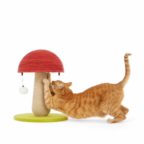 Every Yay Toad Stool Scratch Post