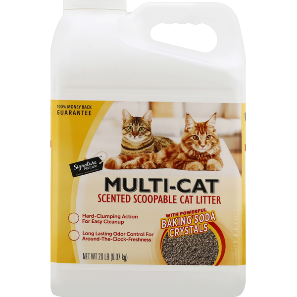 Signature Cat Litter, Scoopable, Scented, Multiple Cat