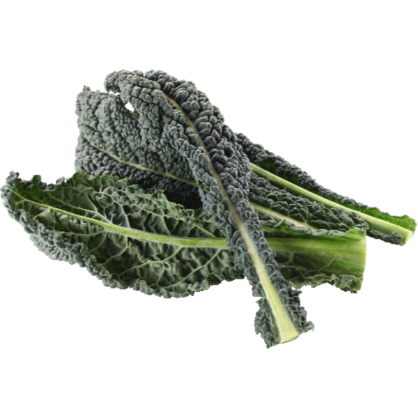 Organic Lacinato Kale