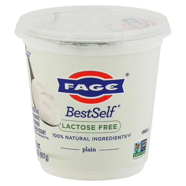 fage-yogurt-strained-greek-reduced-fat-lactose-free-plain-same-day