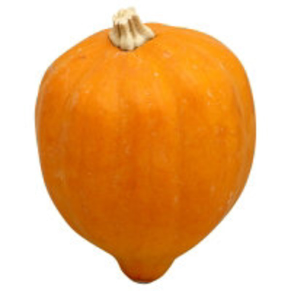 Golden Acorn Squash