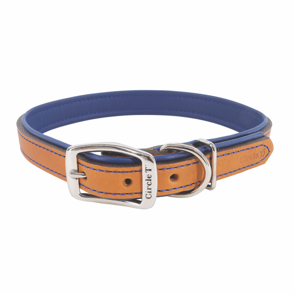 Circle T Dog Collar