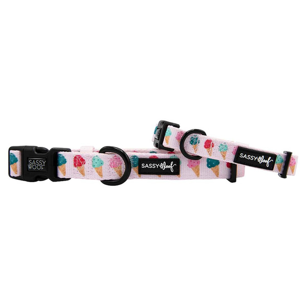 Sassy Woof A Sprinkle of Sass Dog Collar, Small