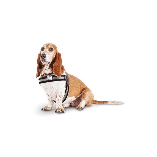 gooby easy fit harness petco