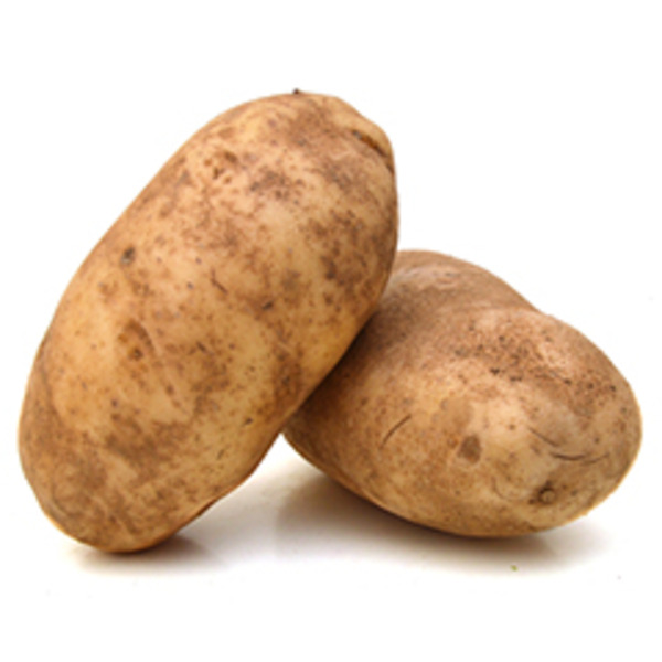 Russet Potato