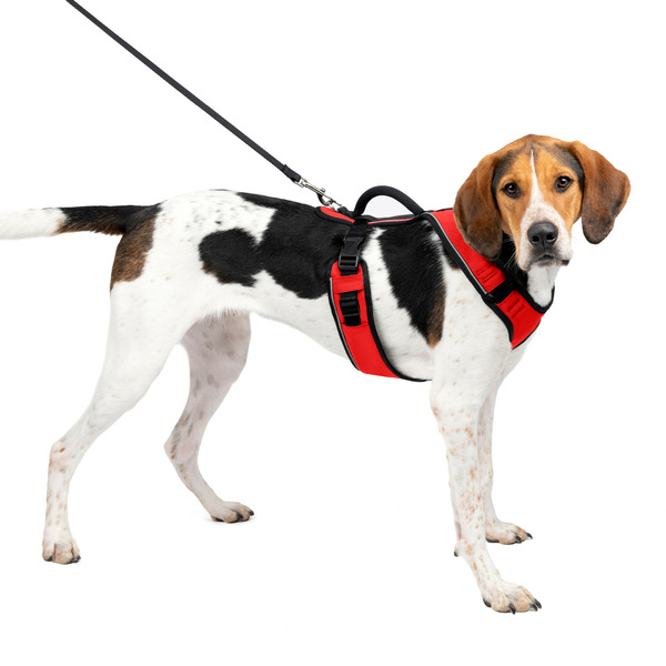 PetSafe EasySport Harness, Large, Red