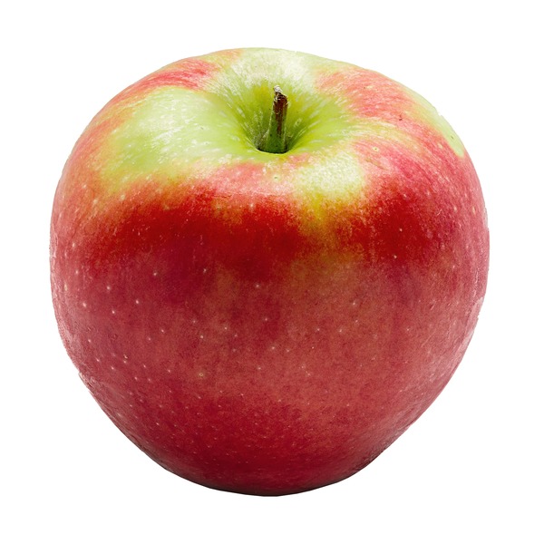 Apple - qoomon Amazon.com: OXO, Corer and Divider Apple Slicer, One Size