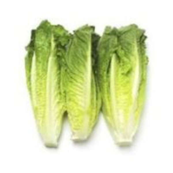 Romaine Lettuce, bag - 4 ct