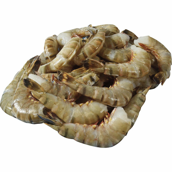 prawn　グレー24 Autograph Edition 24