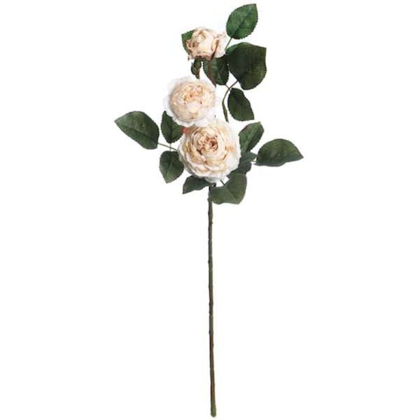 Ashland Ranunculus Stem - Cream