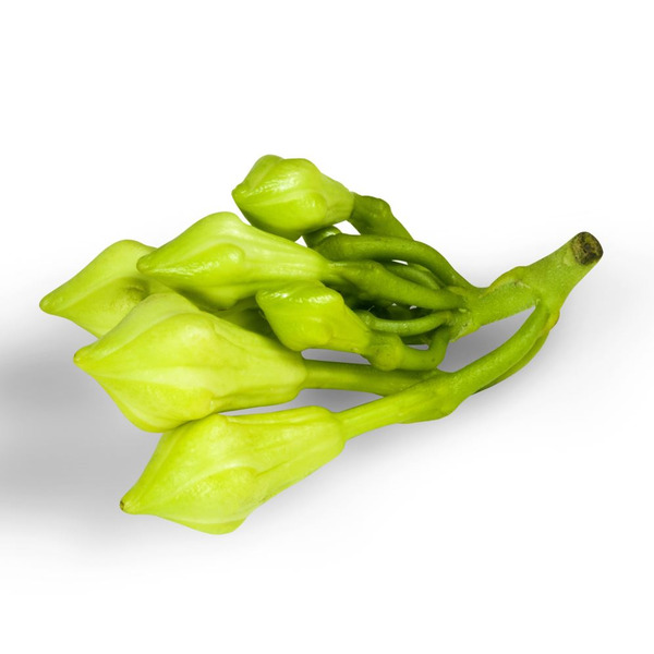 Solfi International Inc Fresh Loroco
