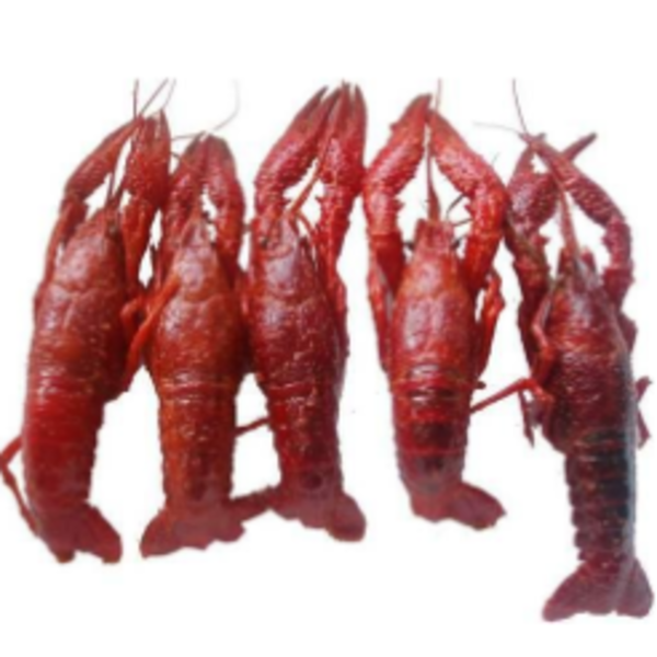 Cooked Whole Crawfish - 5 lb
