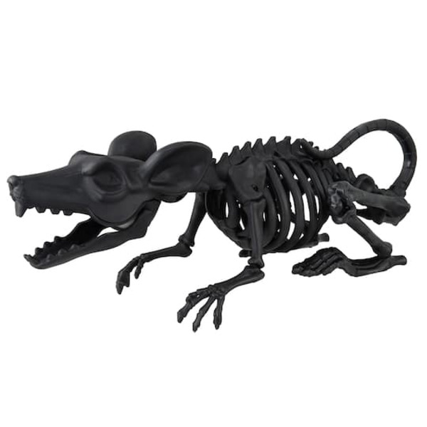 Ashland Mouse Skeleton