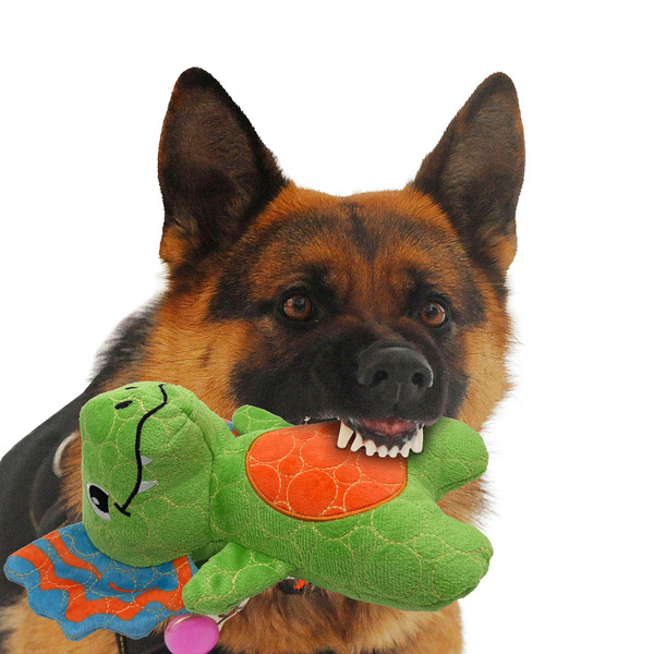 GMASON Dilophosaurus Squeaker Crinkle Plush Dog Toy, Medium - Green