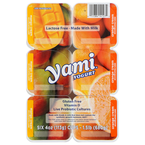 Yami Yogurt Lactose Free Multipack Same-Day Delivery or Pickup