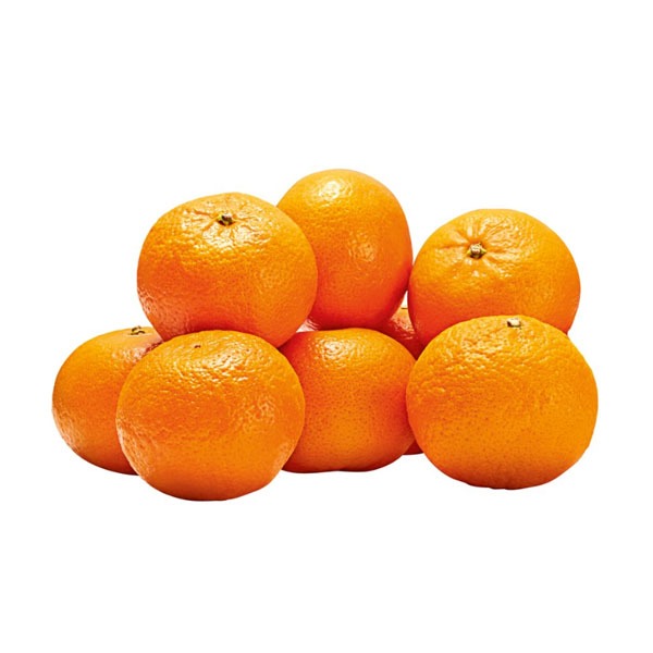 mekori925【新品】Clementine Ivory&Co. U.S.A Orri Clementine Same-Day Delivery | HMart