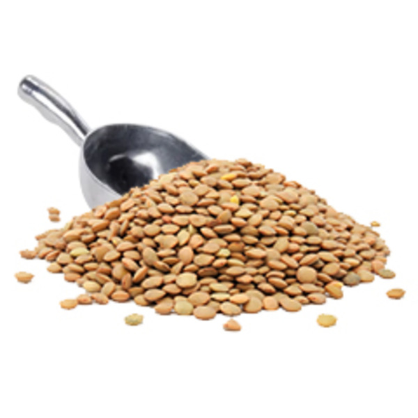 Cardenas Markets Lentil Beans