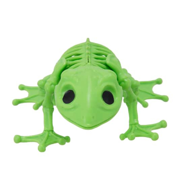 Ashland Skeleton Frog