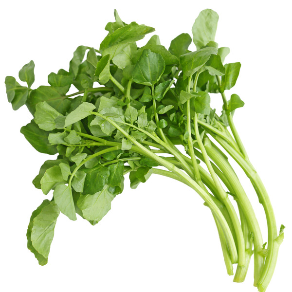 Watercress  Microgreens