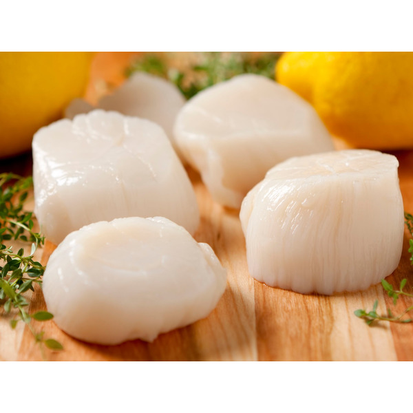 Wet Scallop, U/10 - 5 lb