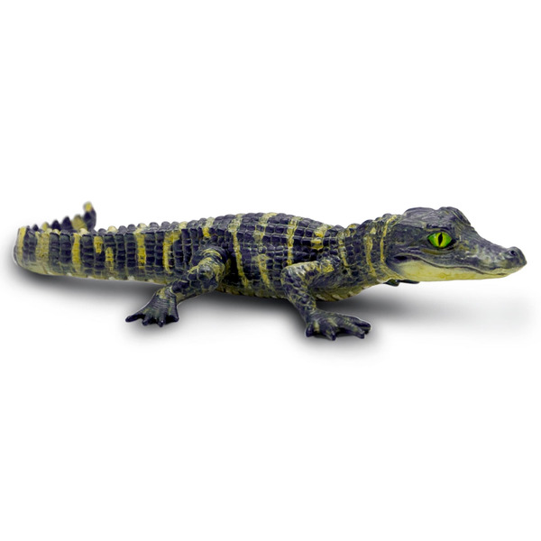 Safari Ltd TOOB Alligator Baby Toy