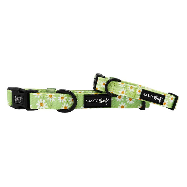 Sassy Woof Dainty Daisy Dog Collar, Small - Green