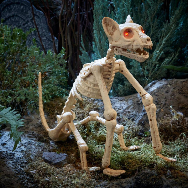 Home Accents Holiday Halloween Classics Animated Led Skeleton Cat