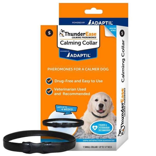 Thunder Ease Small Dog Calming Collar
