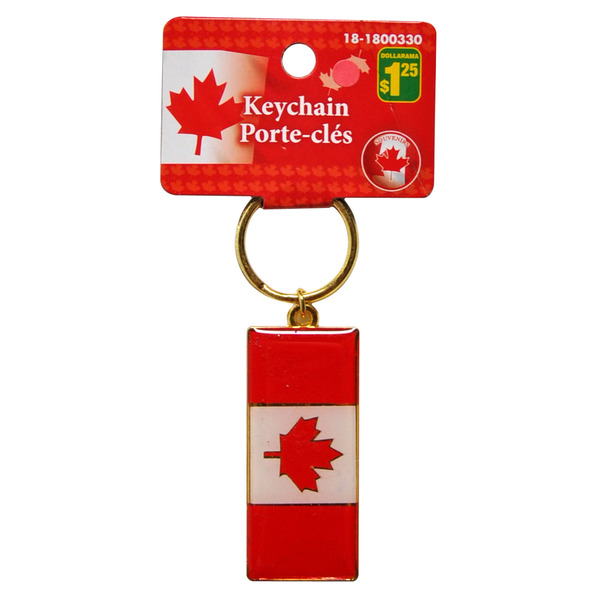Dollarama Canada Rectangular Metal Key Chain Same-Day Delivery