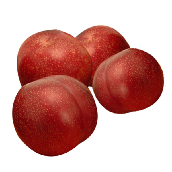 Red Plum