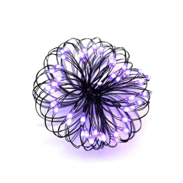 Ashland Purple & Orange Color Changing LED String Lights
