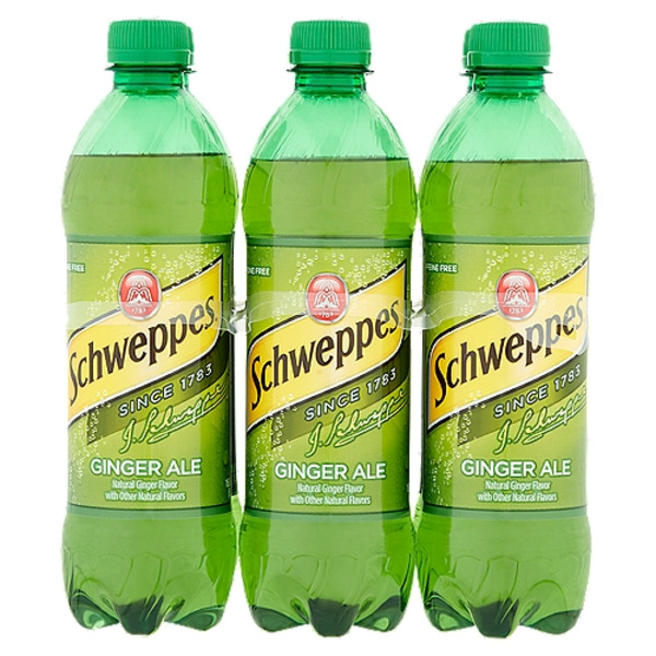 Schweppes - Ginger Ale, 16.9 oz, 24 Ct
