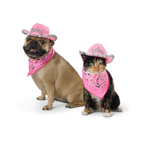 Thrills & Chills Dog & Cat Cowboy Hat & Bandana Set, L - Pink
